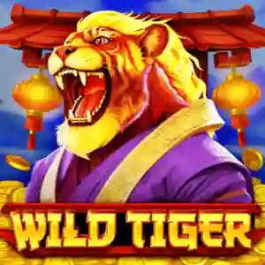 Wild Tiger game by BGAMING – logo hosted on RP888 Casino